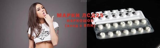 ГАЛЛЮЦИНОГЕННЫЕ ГРИБЫ Алексин