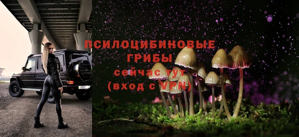 прущий лед Алексеевка