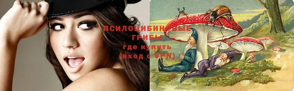 прущий лед Алексеевка