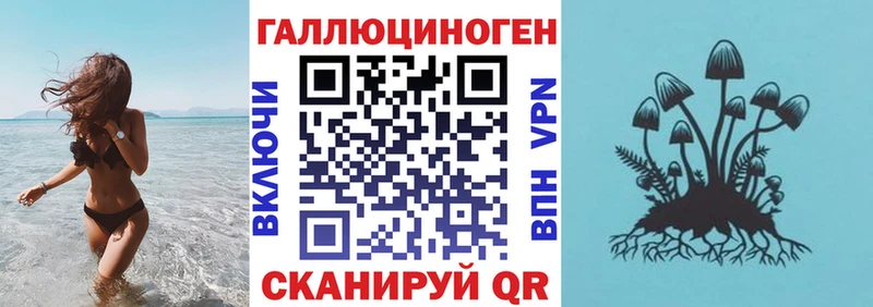 Галлюциногенные грибы Psilocybine cubensis  Байкальск 